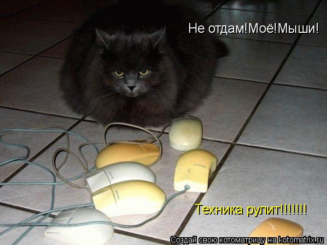 Не отдам!Моё!Мыши! Техника рулит!!!!!!!... Котоматрица: Не отдам!Моё!Мыши! Техника рулит!!!!!!!