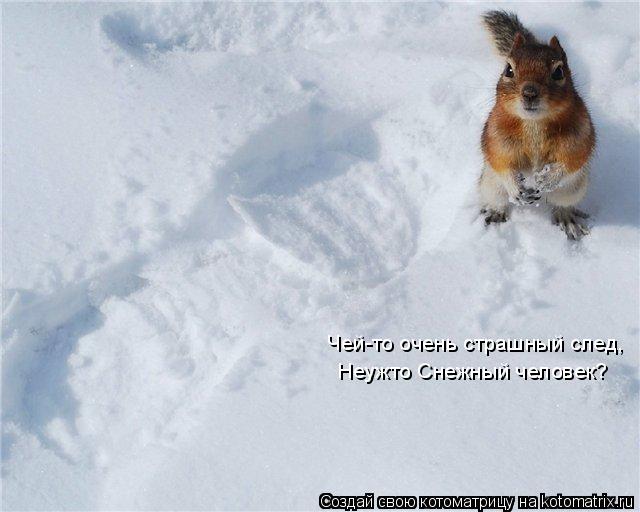 Чей-то очень страшный след, Неужто Снежный человек?... Котоматрица: Чей-то очень страшный след, Неужто Снежный человек?
