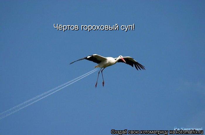 Чёртов гороховый суп!... Котоматрица: Чёртов гороховый суп!