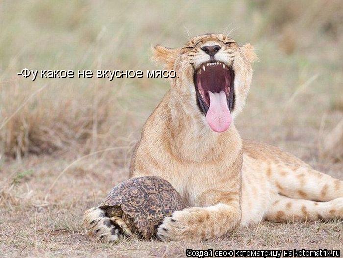 -Фу какое не вкусное мясо.... Котоматрица: -Фу какое не вкусное мясо.