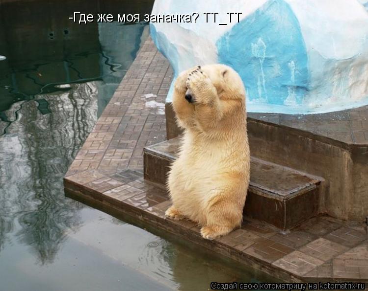 -Где же моя заначка? ТТ_ТТ... Котоматрица: -Где же моя заначка? ТТ_ТТ