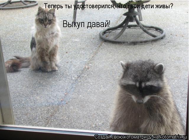 Теперь ты удостоверился, что твои дети живы? Выкуп давай!... Котоматрица: Теперь ты удостоверился, что твои дети живы? Выкуп давай!