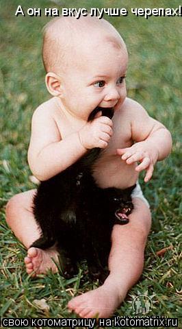 Котоматрица: А он на вкус лучше черепах!