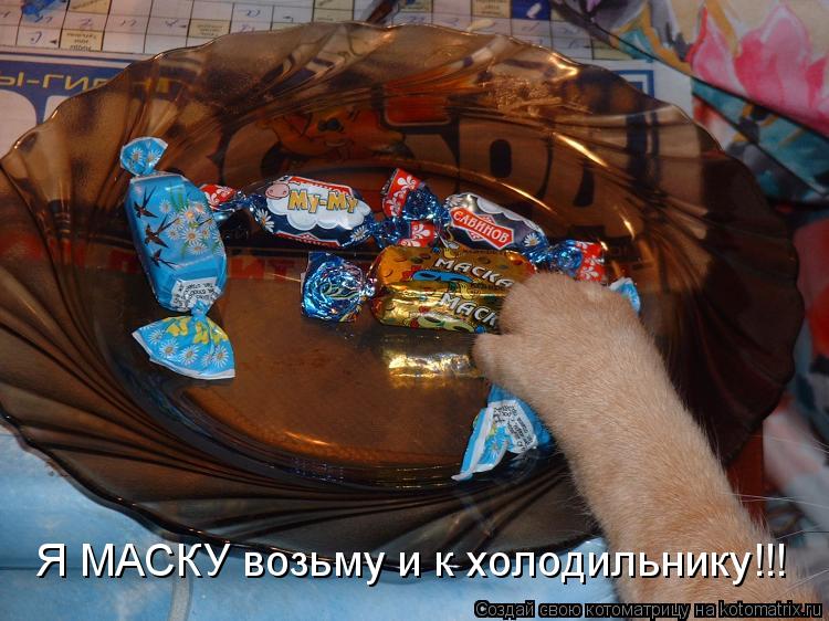 Я МАСКУ возьму и к холодильнику!!!... Котоматрица: Я МАСКУ возьму и к холодильнику!!!