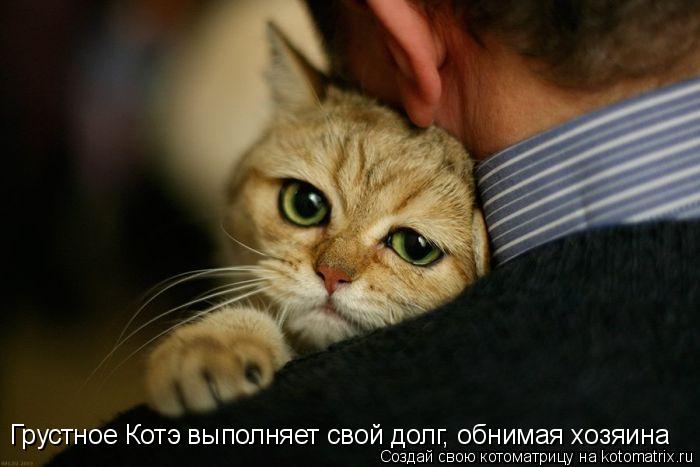 Котоматрица: Грустное Котэ выполняет свой долг, обнимая хозяина
