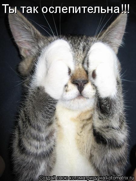 Котоматрица: Ты так ослепительна!!!