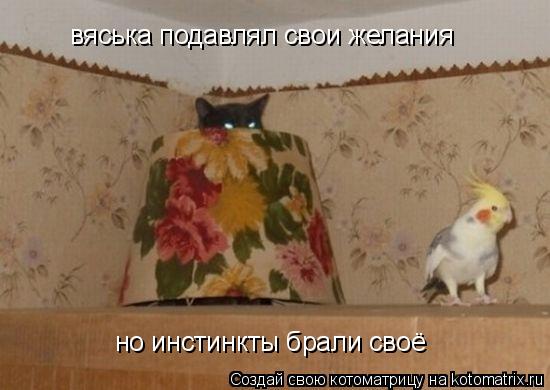Котоматрица: вяська подавлял свои желания но инстинкты брали своё