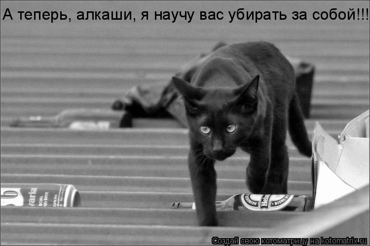 Котоматрица: А теперь, алкаши, я научу вас убирать за собой!!!