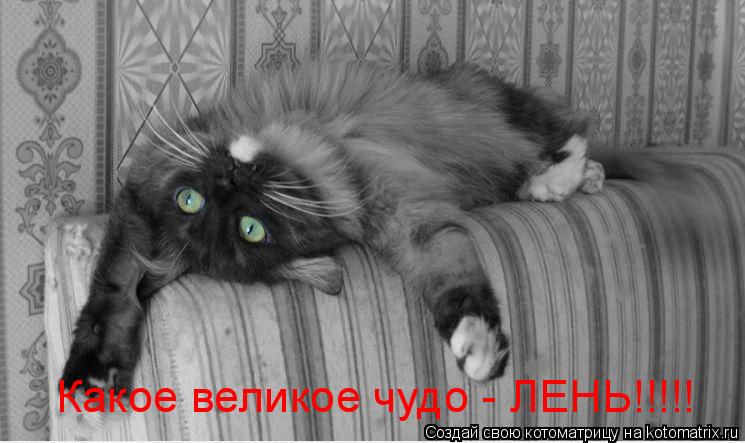 Котоматрица: Какое великое чудо - ЛЕНЬ!!!!!