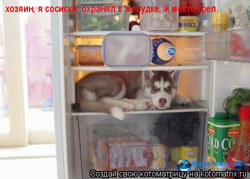 хозяин, я сосиски, охранял в желудке, и место грел.... Котоматрица: хозяин, я сосиски, охранял в желудке, и место грел.