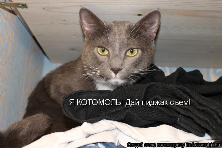 Я КОТОМОЛЬ! Дай пиджак съем!... Котоматрица: Я КОТОМОЛЬ! Дай пиджак съем!