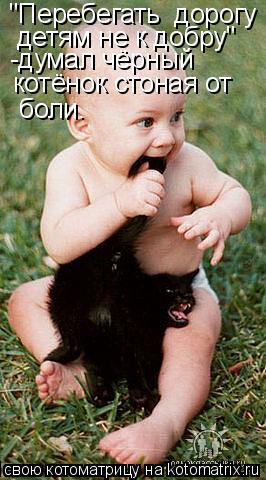 "Перебегать дорогу детям не к добру" -думал чёрный котёнок стоная от боли.... Котоматрица: "Перебегать дорогу детям не к добру" -думал чёрный котёнок стоная от боли.