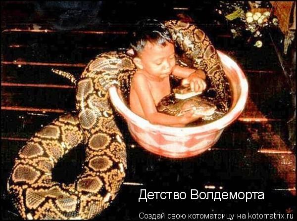 Детство Волдеморта... Котоматрица: Детство Волдеморта