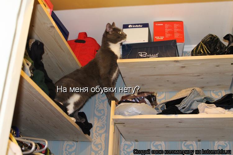 На меня обувки нету?... Котоматрица: На меня обувки нету?
