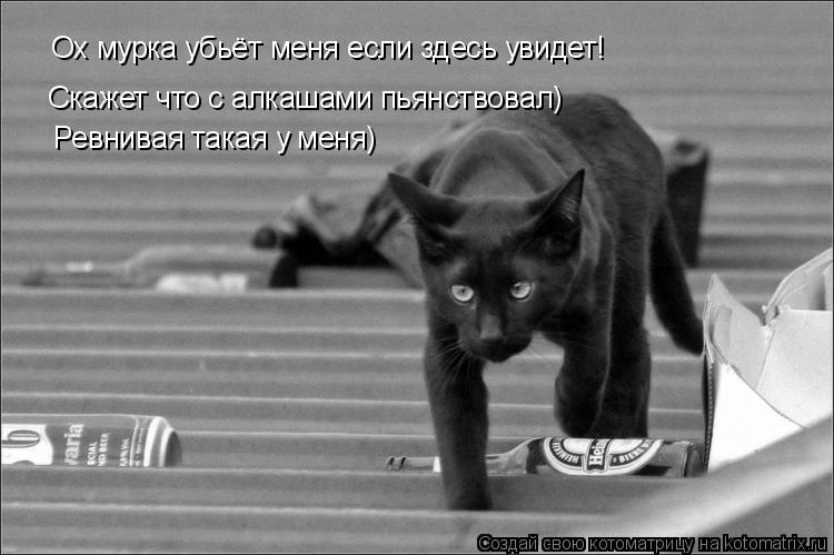 Ох мурка убьёт меня если здесь увидет! Скажет что с алкашами пьянствовал) Ревнивая такая у меня)... Котоматрица: Ох мурка убьёт меня если здесь увидет! Скажет что с алкашами пьянствовал) Ревнивая такая у меня)