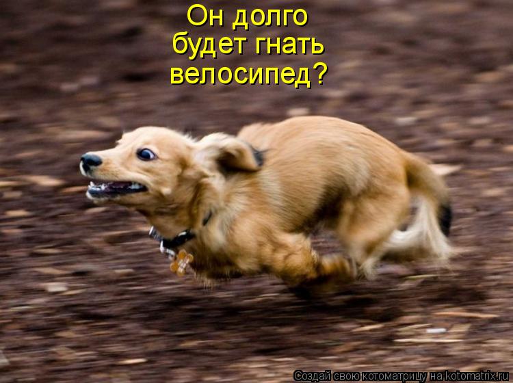 Он долго будет гнать велосипед?... Котоматрица: Он долго будет гнать велосипед?