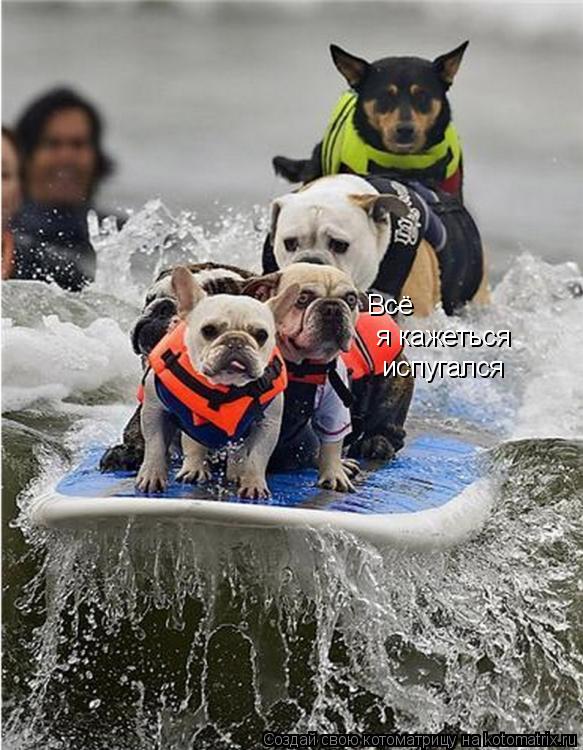 Всё я кажеться испугался... Котоматрица: Всё я кажеться испугался
