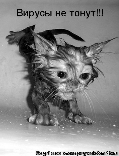 Вирусы не тонут!!!... Котоматрица: Вирусы не тонут!!!