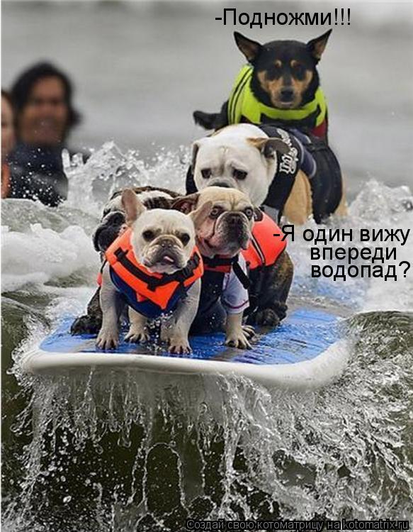 Котоматрица: -Подножми!!! -Я один вижу  впереди  водопад?