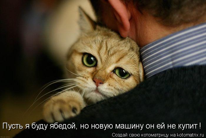 Пусть я буду ябедой, но новую машину он ей не купит !... Котоматрица: Пусть я буду ябедой, но новую машину он ей не купит !