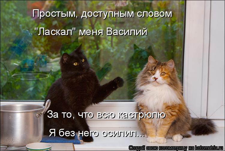 Простым, доступным словом "Ласкал" меня Василий Я без него осилил... За то, что всю кастрюлю... Котоматрица: Простым, доступным словом "Ласкал" меня Василий Я без него осилил... За то, что всю кастрюлю