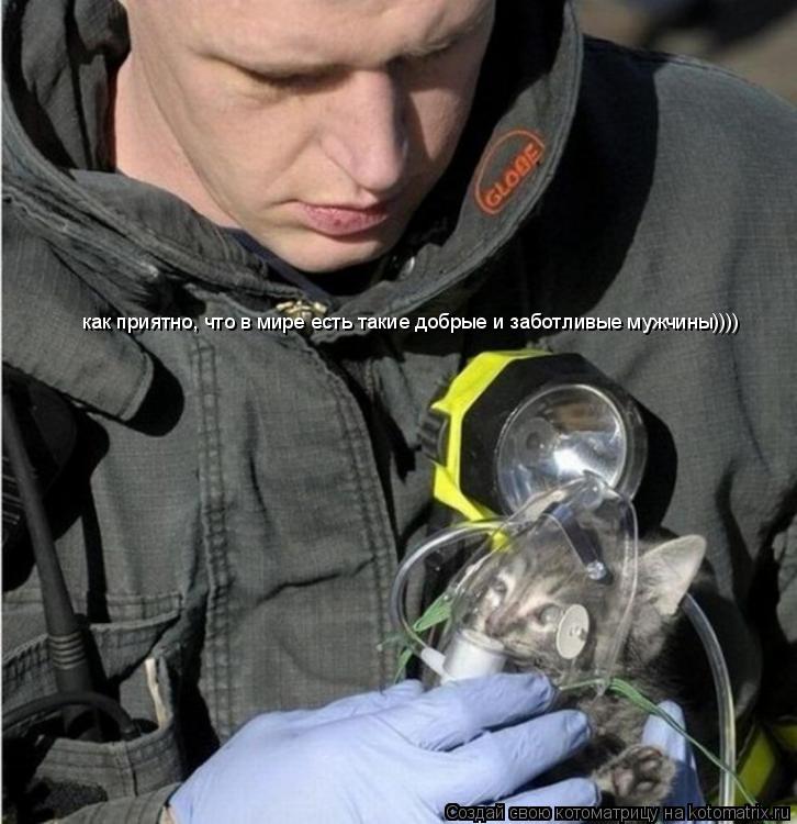 как приятно, что в мире есть такие добрые и заботливые мужчины))))... Котоматрица: как приятно, что в мире есть такие добрые и заботливые мужчины))))