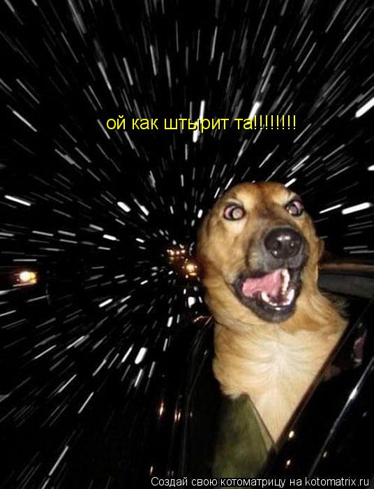 ой как штырит та!!!!!!!!... Котоматрица: ой как штырит та!!!!!!!!