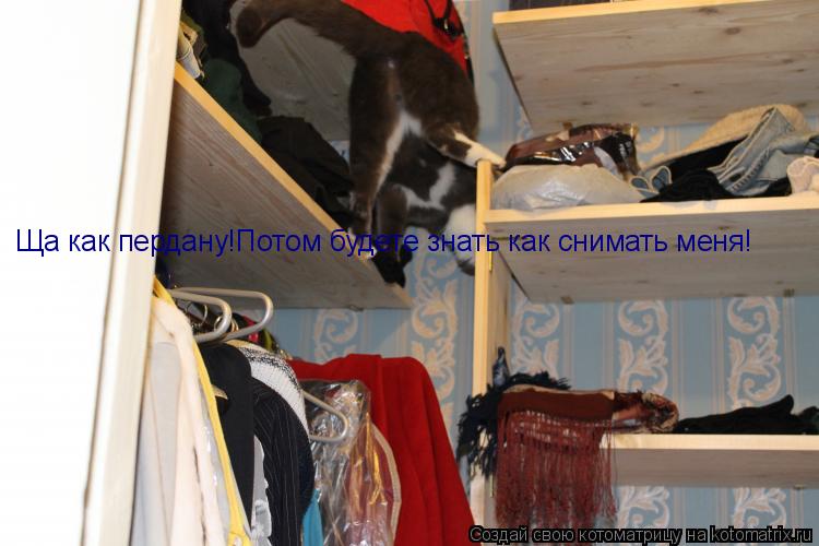 Ща как пердану!Потом будете знать как снимать меня!... Котоматрица: Ща как пердану!Потом будете знать как снимать меня!