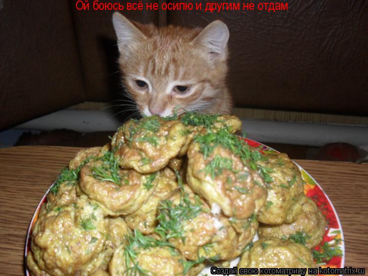 Ой боюсь всё не осилю и другим не отдам... Котоматрица: Ой боюсь всё не осилю и другим не отдам