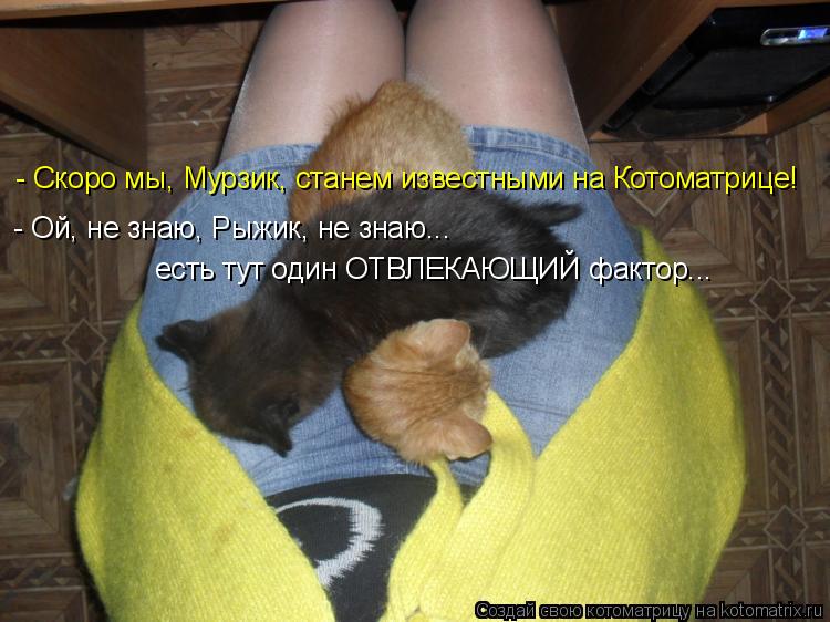 - Скоро мы, Мурзик, станем известными на Котоматрице! - Ой, не знаю, Рыжик, не знаю... есть тут один ... Котоматрица: - Скоро мы, Мурзик, станем известными на Котоматрице! - Ой, не знаю, Рыжик, не знаю... есть тут один ОТВЛЕКАЮЩИЙ фактор...