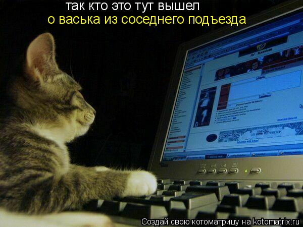 так кто это тут вышел о васька из соседнего подъезда... Котоматрица: так кто это тут вышел о васька из соседнего подъезда