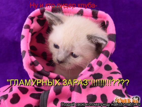 Ну и кто лидер клуба- "ГЛАМУРНЫХ ЗАРАЗ"!!!!!!!!!????... Котоматрица: Ну и кто лидер клуба- "ГЛАМУРНЫХ ЗАРАЗ"!!!!!!!!!????