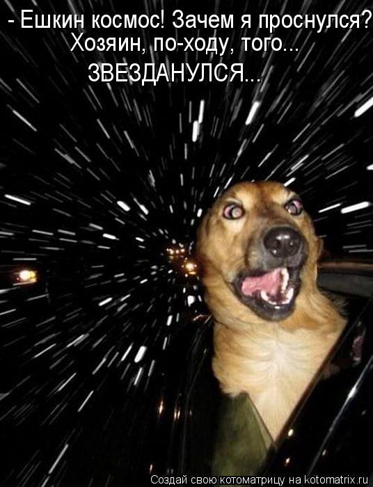 Котоматрица: - Ешкин космос! Зачем я проснулся?! Хозяин, по-ходу, того... ЗВЕЗДАНУЛСЯ...
