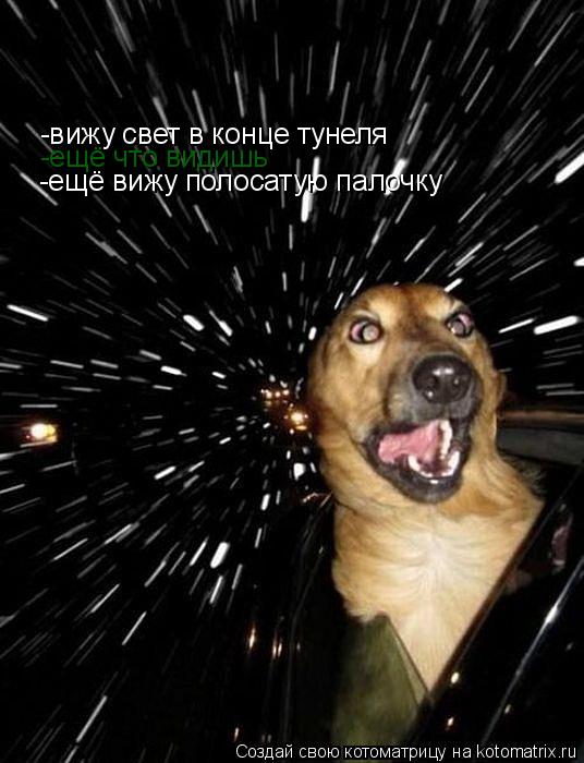 -вижу свет в конце тунеля -ещё что видишь -ещё вижу полосатую палочку... Котоматрица: -вижу свет в конце тунеля -ещё что видишь -ещё вижу полосатую палочку
