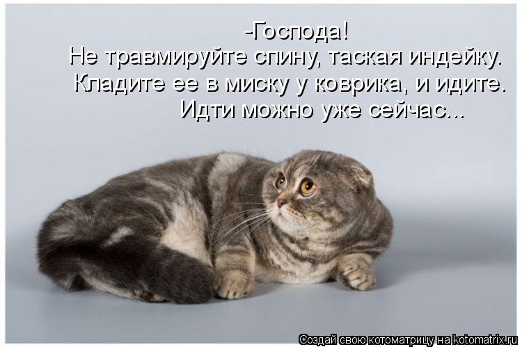 -Господа! Не травмируйте спину, таская индейку. Кладите ее в миску у коврика, и идите. Идти можно уже... Котоматрица: -Господа! Не травмируйте спину, таская индейку. Кладите ее в миску у коврика, и идите. Идти можно уже сейчас...