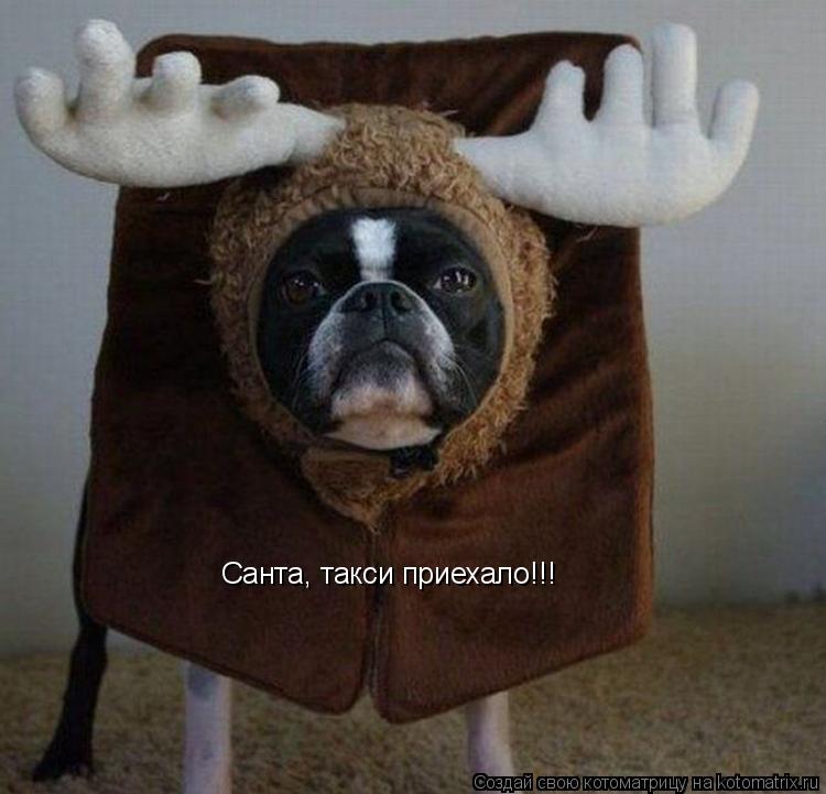 Санта, такси приехало!!!... Котоматрица: Санта, такси приехало!!!