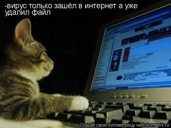 -вирус только зашёл в интернет а уже удалил файл... Котоматрица: -вирус только зашёл в интернет а уже удалил файл