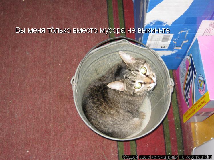 Вы меня только вместо мусора не выкиньте... Котоматрица: Вы меня только вместо мусора не выкиньте
