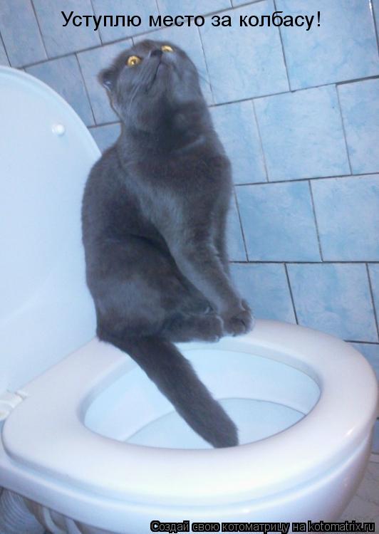 Уступлю место за колбасу!... Котоматрица: Уступлю место за колбасу!