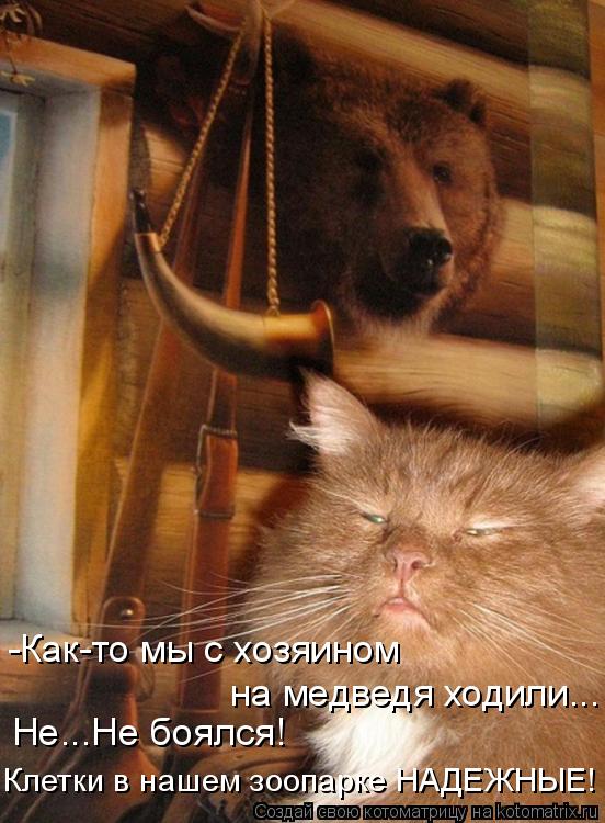 -Как-то мы с хозяином на медведя ходили... Не...Не боялся! Клетки в нашем зоопарке НАДЕЖНЫЕ!... Котоматрица: -Как-то мы с хозяином на медведя ходили... Не...Не боялся! Клетки в нашем зоопарке НАДЕЖНЫЕ!