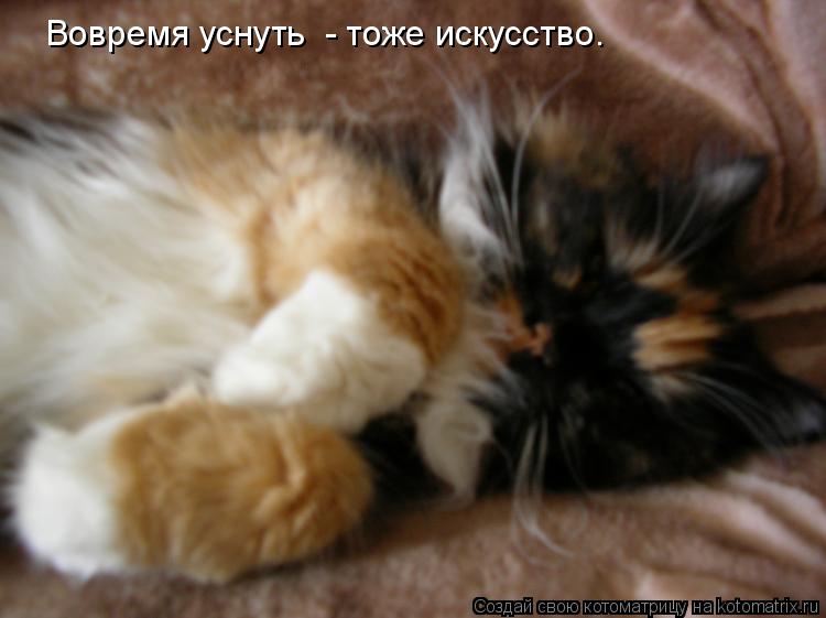 Вовремя уснуть - тоже искусство.... Котоматрица: Вовремя уснуть - тоже искусство.