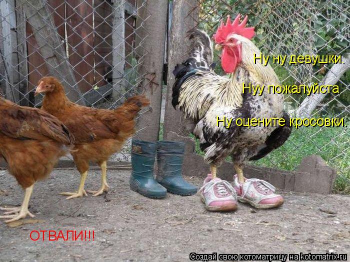 Ну ну девушки. Нуу пожалуйста Ну оцените кросовки. ОТВАЛИ!!!... Котоматрица: Ну ну девушки. Нуу пожалуйста Ну оцените кросовки. ОТВАЛИ!!!