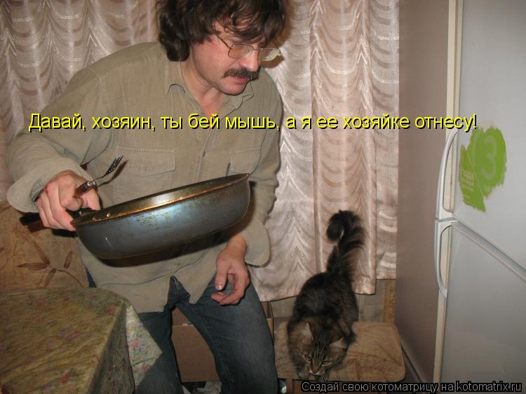 Давай, хозяин, ты бей мышь, а я ее хозяйке отнесу!... Котоматрица: Давай, хозяин, ты бей мышь, а я ее хозяйке отнесу!