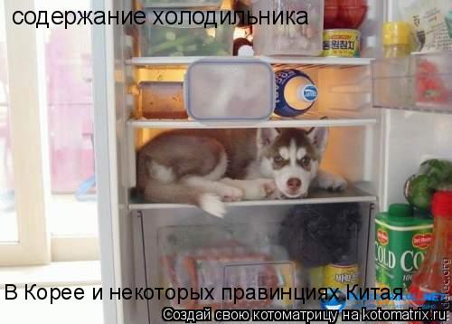 содержание холодильника В Корее и некоторых правинциях Китая... Котоматрица: содержание холодильника В Корее и некоторых правинциях Китая
