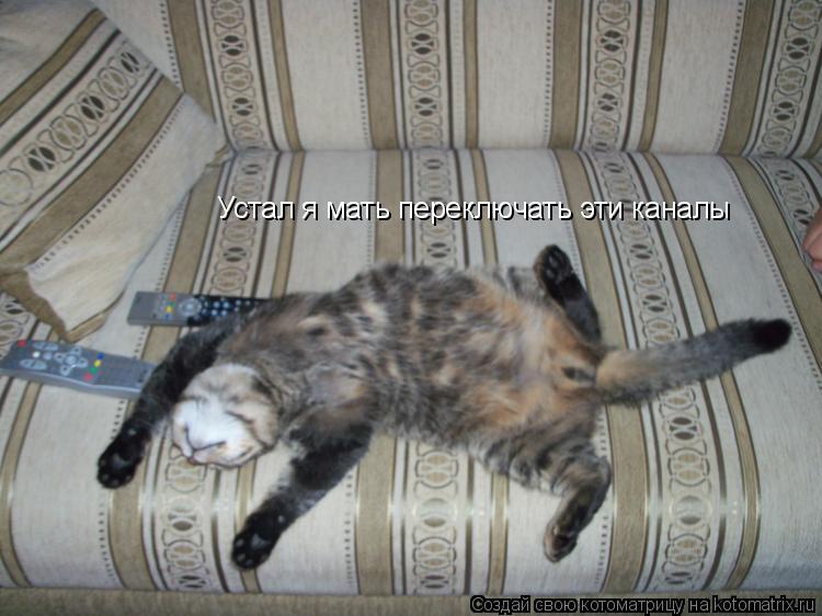 Устал я мать переключать эти каналы Устал я мать, переключать эти каналы......... Котоматрица: Устал я мать переключать эти каналы Устал я мать, переключать эти каналы......