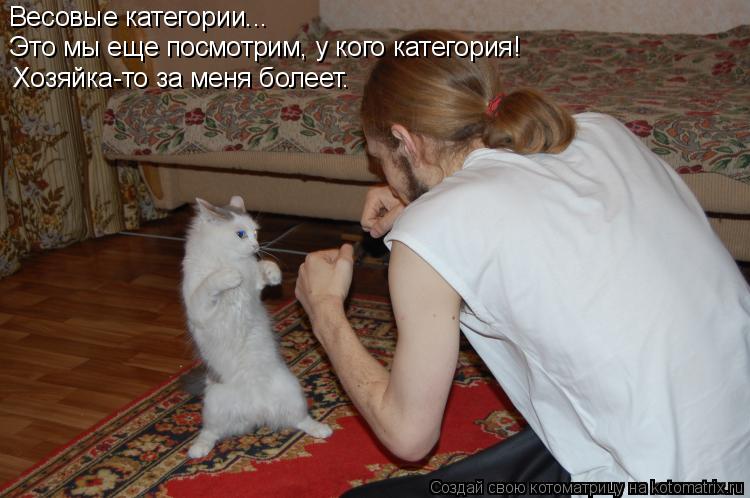 Хозяйка-то за меня болеет. Это мы еще посмотрим, у кого категория! Весовые категории...... Котоматрица: Хозяйка-то за меня болеет. Это мы еще посмотрим, у кого категория! Весовые категории...