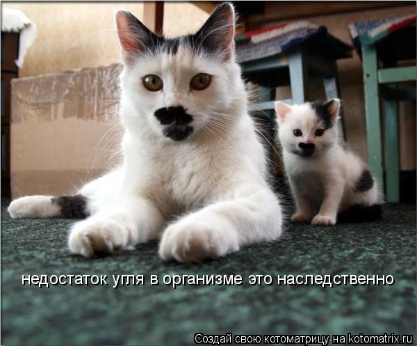недостаток угля в организме это наследственно... Котоматрица: недостаток угля в организме это наследственно