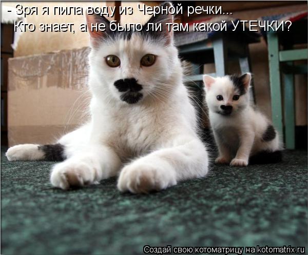 - Зря я пила воду из Черной речки... Кто знает, а не было ли там какой УТЕЧКИ?... Котоматрица: - Зря я пила воду из Черной речки... Кто знает, а не было ли там какой УТЕЧКИ?