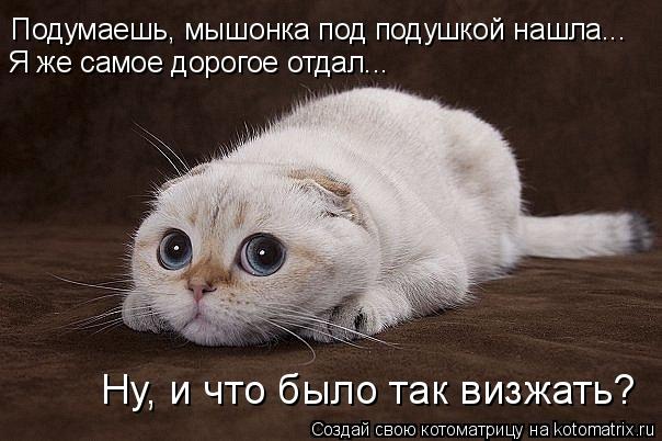 Подумаешь, мышонка под подушкой нашла... Я же самое дорогое отдал... Ну, и что было так визжать?... Котоматрица: Подумаешь, мышонка под подушкой нашла... Я же самое дорогое отдал... Ну, и что было так визжать?