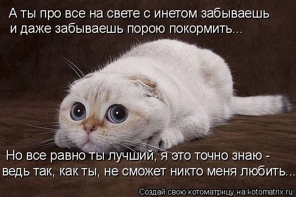 А ты про все на свете с инетом забываешь и даже забываешь порою покормить... Но все равно ты лучший, ... Котоматрица: А ты про все на свете с инетом забываешь и даже забываешь порою покормить... Но все равно ты лучший, я это точно знаю - ведь так, как ты, не смож